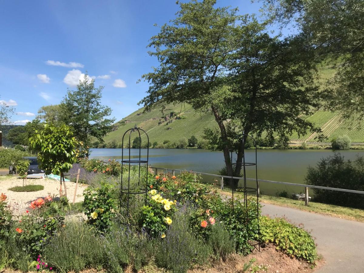 Ferienhaus Moselglueck - Kostenlose Oepnv-Nutzung Inbegriffen Διαμέρισμα Bernkastel-Kues Εξωτερικό φωτογραφία